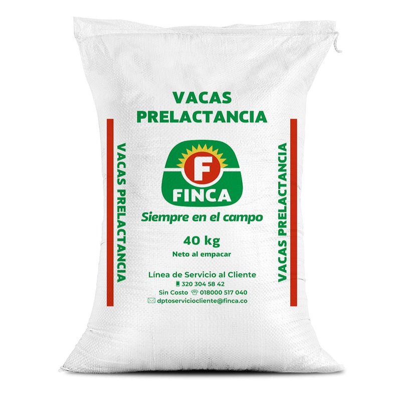 VACAS PRELACTANCIA X 40 KL