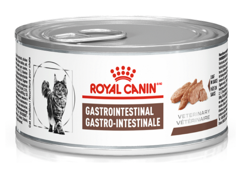 ROYAL CANIN FELINE ADULTO GASTROINTESTINAL LATA  X 145 GR