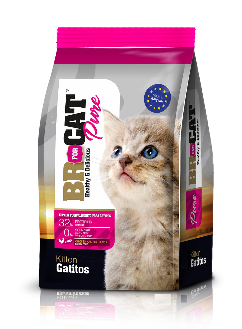 BR FOR CAT GATITOS