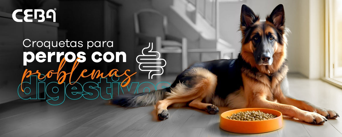 la comida para perros sin granos causa menos caca