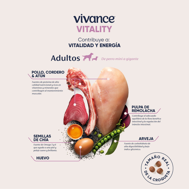 VIVANCE VITALITY PERROS ADULTOS