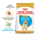 Comida Para Perro Royal Canin Labrador Puppy 12 Kg