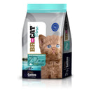 BR FOR CAT  GATITO SALMON