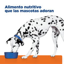 Comida para perro Hills Prescription  Urinary Care Urolitiasis u/d 8,5Lbs