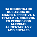 Comida para perro Hills Derm Complete 6,3 Lbs a 14,1 Lbs