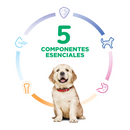 Comida para perros Hills Cachorros Razas Grandes 4,5Lbs a 27,5Lbs