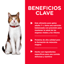 Comida para Gato Hills Senior Turkey 5.5 Onz