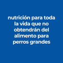 Hill's alimento húmedo perro adulto raza pequeña
