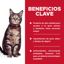 Comida húmeda para gato Feline Adult Pouch Pescado 79 g