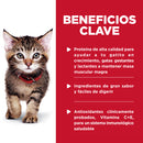 Comida húmeda para gato Kitten Tender Chicken Dinner