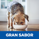 Comida para perro Hills Derm Complete 6,3 Lbs a 14,1 Lbs