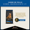 Comida Para Perro Pro Plan Adulto Raza Mediana - Grande Active Mind 7 + X 13 Kg