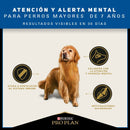 Comida Para Perro Pro Plan Adulto Raza Mediana - Grande Active Mind 7 + X 13 Kg