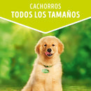 Comida Húmeda Para Perros Cachorros Dog Chow Pouch Pollo X 100 Gr
