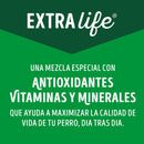 Comida Húmeda Para Perros Cachorros Dog Chow Pouch Pollo X 100 Gr