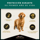Comida Para Perro Pro Plan Puppy Raza Mediana