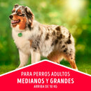 Comida Para Perro Dog Chow Adultos Razas Medianas y Grandes