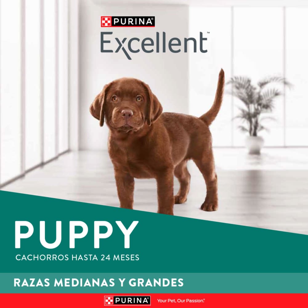 Comida Para Perro Excellent Puppy Razas Medianas y Grandes