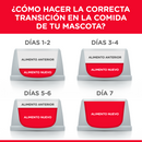 Comida para gato Hills Indoor 3.5 Lbs