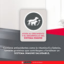 Comida Para Perro Excellent Puppy Small Breed