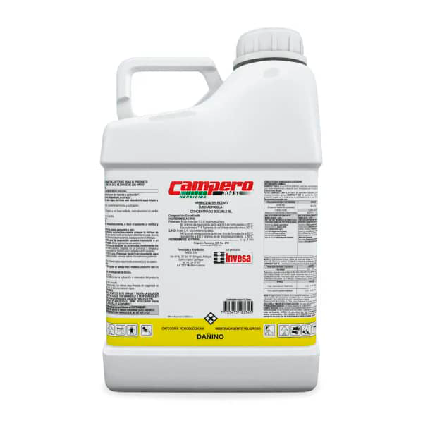 Campero x 4 Lts