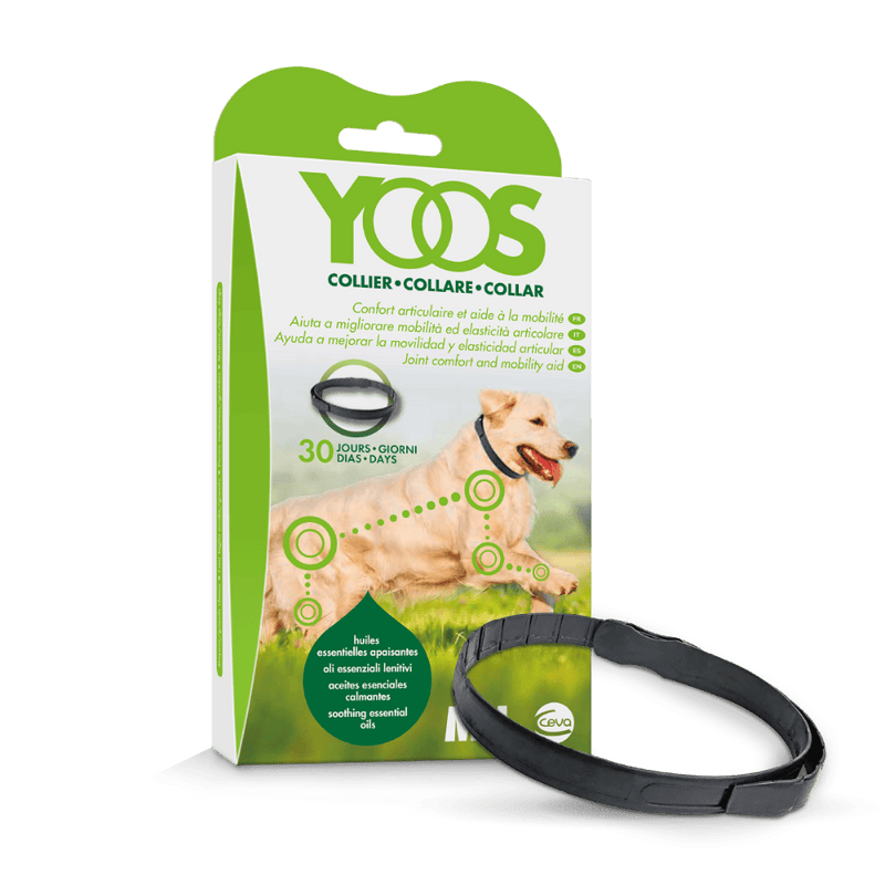 Medicamento Para Perro Collar Yoos Talla M / L