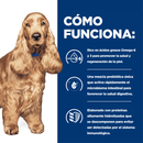 Hill's z/d Alimento húmedo para perro sensibilidades alimentarias 13 Oz (369g)