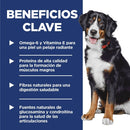 Hill's Science Diet Large Breed comida para perros de razas grandes sabor cordero 33 Lb (14,97Kg)