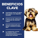 Hill's Science Diet Small&Mini comida perro adulto raza pequeña y mini 4,5 Lb (2,04Kg)