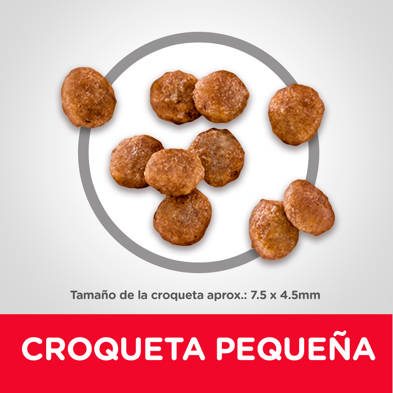 Comida para perros Hills Adulto Razas Miniatura 4,5 Lbs