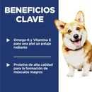 Hill's Science Diet Small Bites comida perro adulto raza pequeña