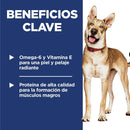 Hill's Science Diet Adult comida para perro adulto sabor pollo OB 6,6Lbs a 33Lbs