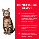 Comida para Gato Hills Adult Turkey 5.5 Onz