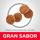 Comida para perro Hills Senior Vitality Adulto