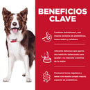 Comida para perro Hills Digestión Perfecta