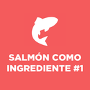 Comida Húmeda Para Gato Hills Salmon 5,5 Onz