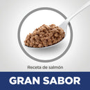 Comida Húmeda Para Gato Hills Salmon 5,5 Onz