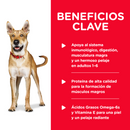 Comida Húmeda  Perro Hills Adulto Chicken 13Onz