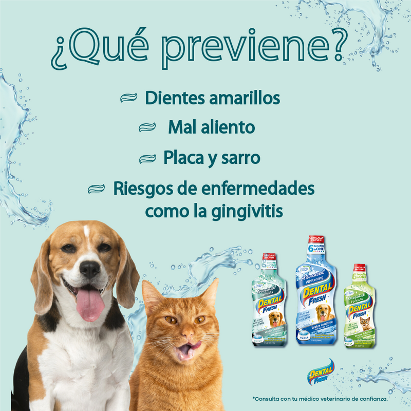 Enjuague Bucal para perro Dental Fresh Whitening 17 oz