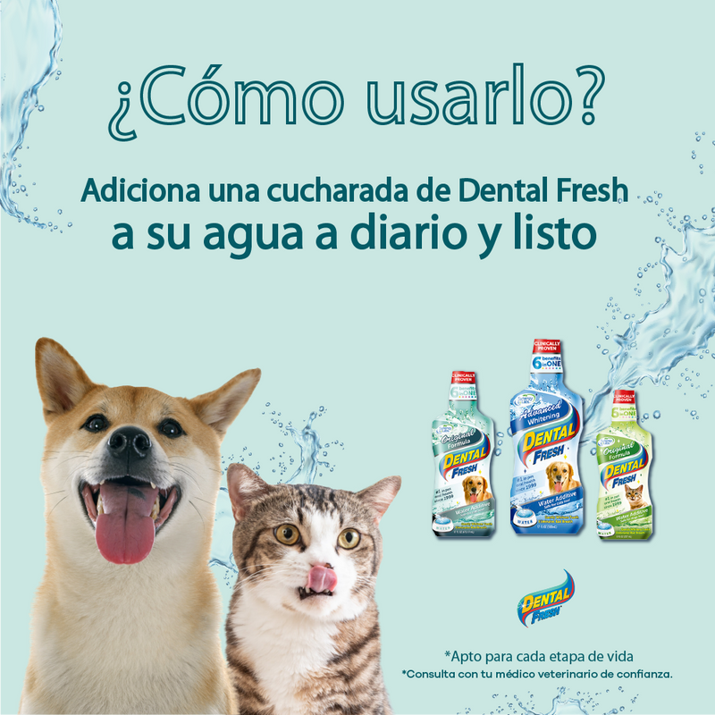 Enjuague Bucal para perro Dental Fresh Original Dogh 17oz