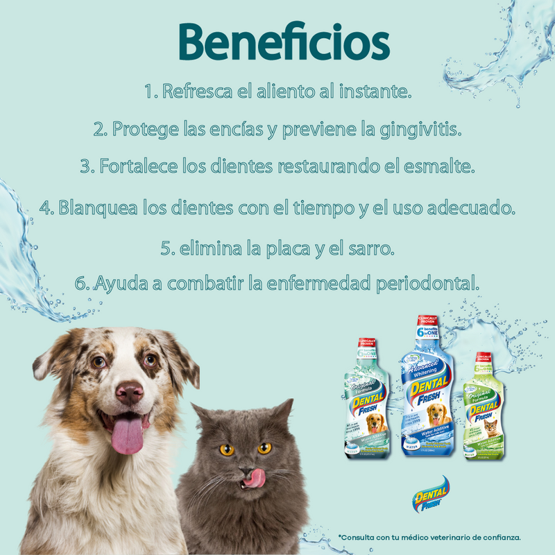 Enjuague Bucal para perro Dental Fresh Original Dogh 8 oz