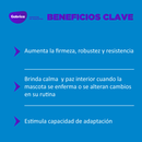 Esencia floral Stress Spray 250 ml