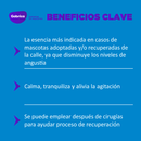 Esencia floral Rescate Spray 250 ml