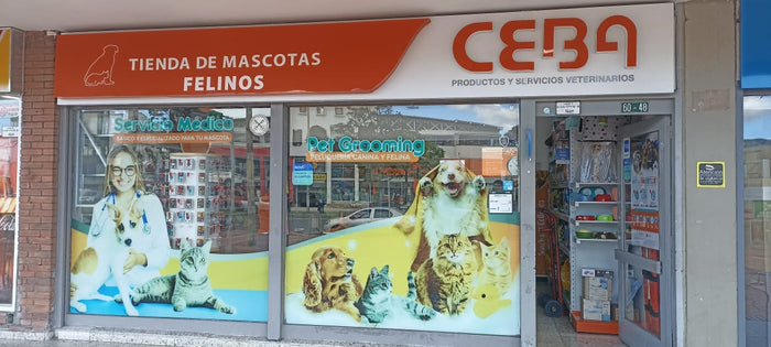 Sede Niza Felinos