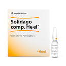 Solidago compositum 1 ampolla x 2.2 ml