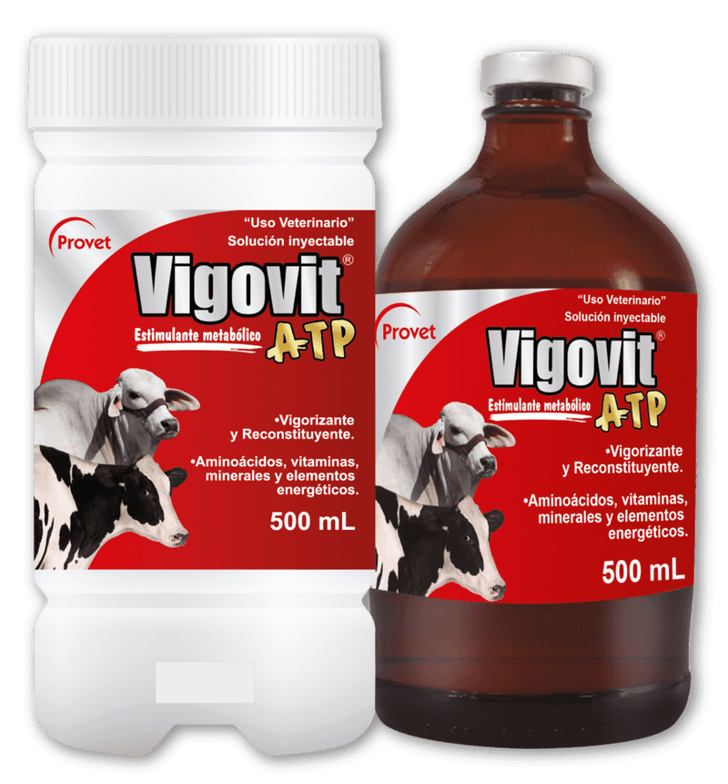 VIGOVIT ATP INYECTABLE FRASCO