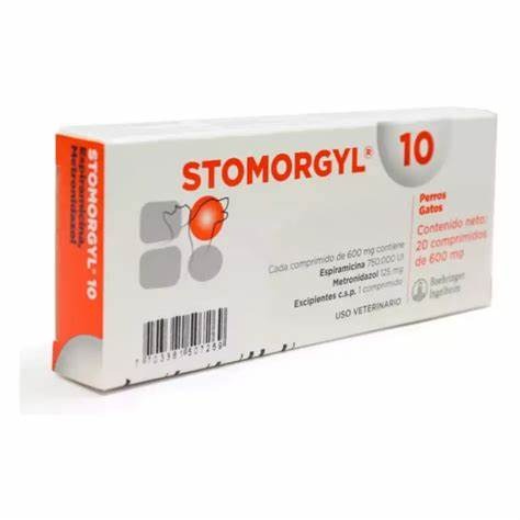 STOMORGYL X 20 COMPRIMIDOS