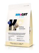 Br For Cat Vet Kidney Function