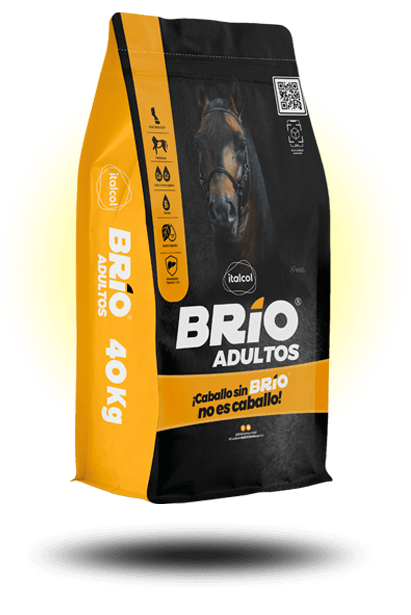 ITALCOL BRIO ADULTOS X 40 KG