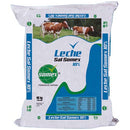 Leche Sal Somex 10% x 40 kg